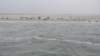 HWK Texel 2015 073_small.jpg